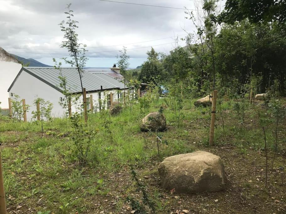 An Bothan-Cosy Cottage In The Cooley Mountains Dundalk Ngoại thất bức ảnh