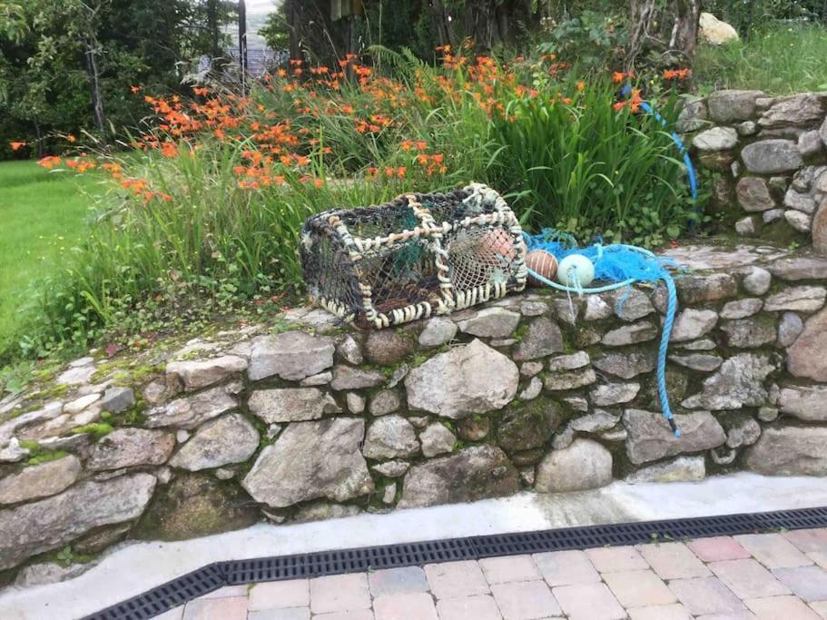 An Bothan-Cosy Cottage In The Cooley Mountains Dundalk Ngoại thất bức ảnh